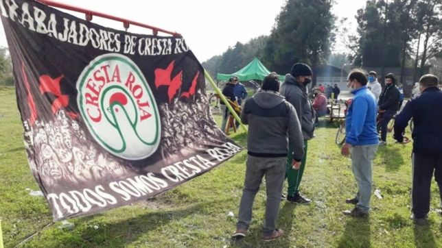 cresta roja: trabajadores van por una cooperativa y piden apoyo del gobierno