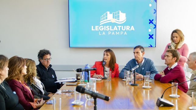 La comisión que preside la kirchnerista María Luz Alonso&nbsp; en La Pampa fogonea la activación del Parlamento de la Patagonia.