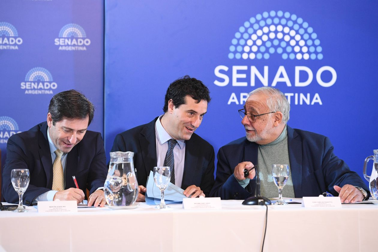 Martín Goerling Lara (PRO), Maximiliano Abad (UCR) y Juan Carlos Pagotto (La Libertad Avanza), durante la Comisión de Acuerdo del Senado.