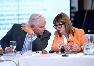 Patricia Bullrich y el senador Agustín Monteverde, durante el debate del Presupuesto en el Senado.&nbsp;