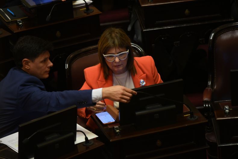 Patricia Bullrich, en el Senado.&nbsp;