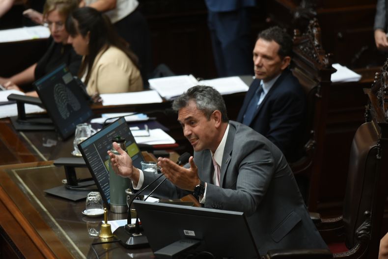 Martín Menem, presidente de la Cámara de Diputados.
