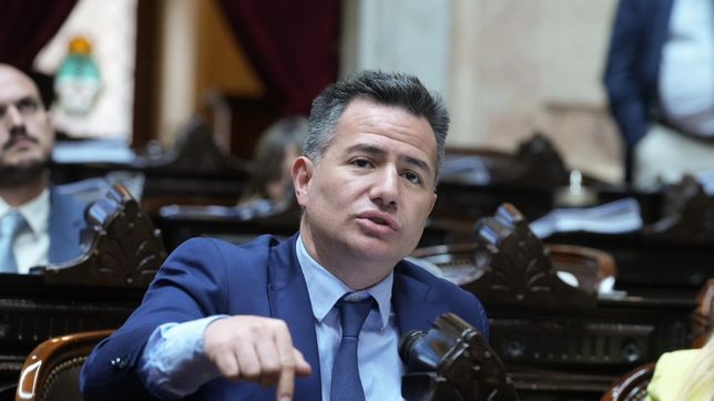Gabriel Bornoroni, jefe de bancada de Diputados de LLA.