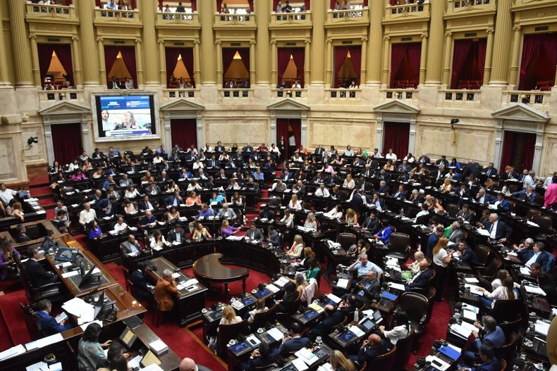 Inició el debate en Diputados por la ley ómnibus. Inició el debate en Diputados por la ley ómnibus.