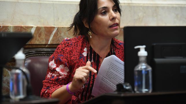 Lucila Crexell, senadora de Neuquén. Candidata del Gobierno a la Unesco.&nbsp;