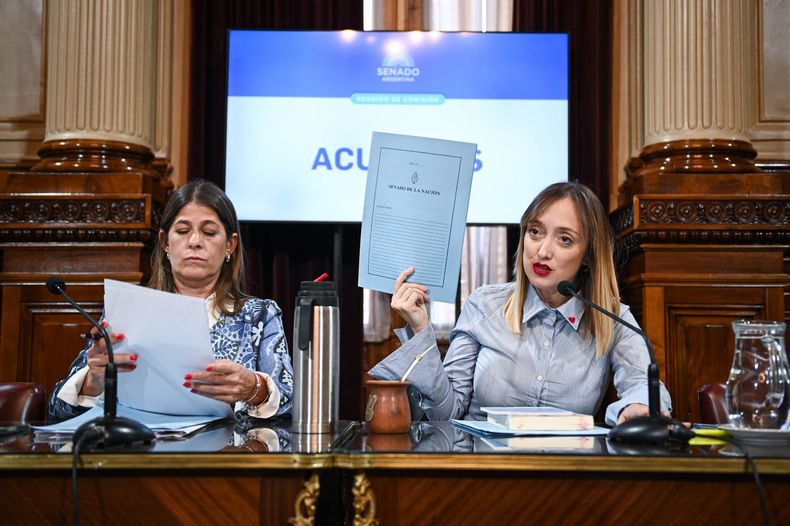 Guadalupe Tagliaferri y Anabel Fernández Sagasti, firmantes de rechazos a Manuel García-Mansilla.&nbsp;