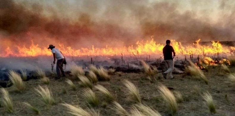 Desde principios de diciembre, en La Pampa los incendios devoraron más de 140.000 hectáreas.