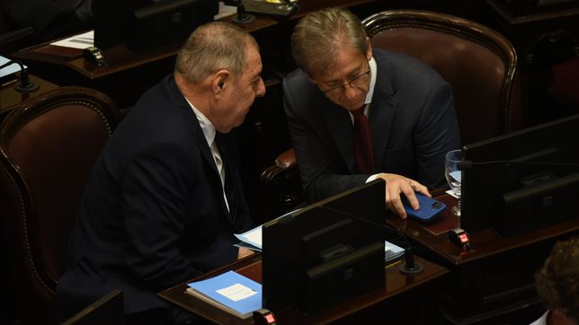 Los senadores Eduardo Vischi (UCR) y Alfredo De Angeli (PRO).&nbsp;
