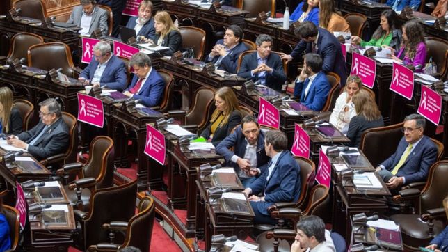 camara de diputados, de la agenda positiva a los gritos por cromanon