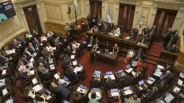 El Senado analiza la expulsión de Edgardo Kueider