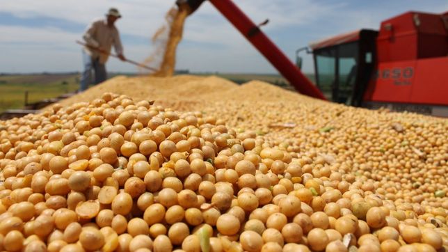 El campo pide a Javier Milei que prorrogue la quita en los derechos de exportación