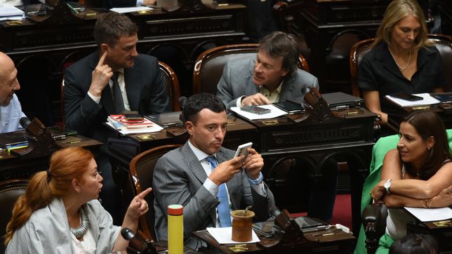 El bloque de la UCR en Diputados, clave para sostener vetos. 
