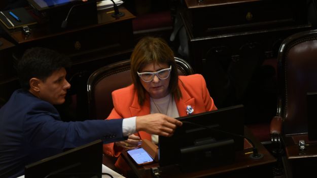 Patricia Bullrich a cargo de negociar comisiones para La Libertad Avanza en el Senado.&nbsp;