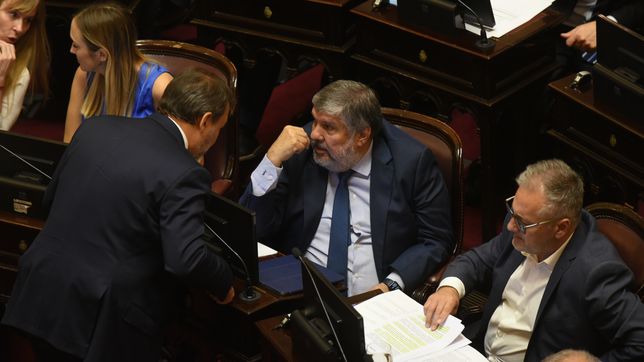 José Mayans, jefe del interbloque de Cristina Fernández de Kirchner en el Senado. 