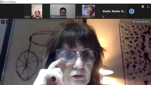 bullrich marco diferencias con vidal en un zoom con arenga ultra