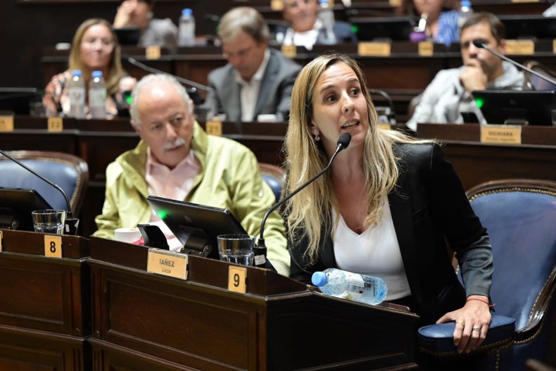 Lucía Iañez, diputada de Unión por la Patria.