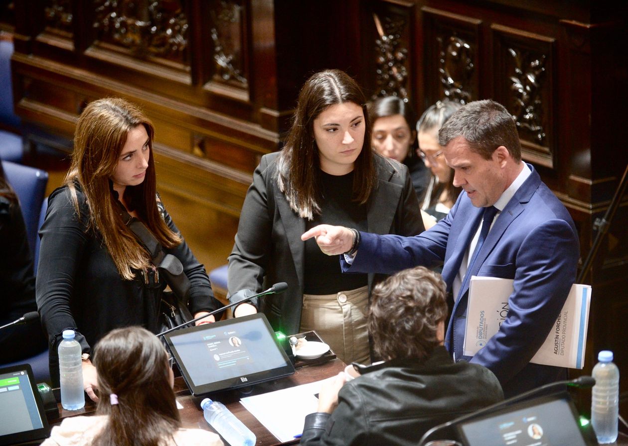 Julieta Quintero Chasman en la Legislatura bonaerense (AGLP)