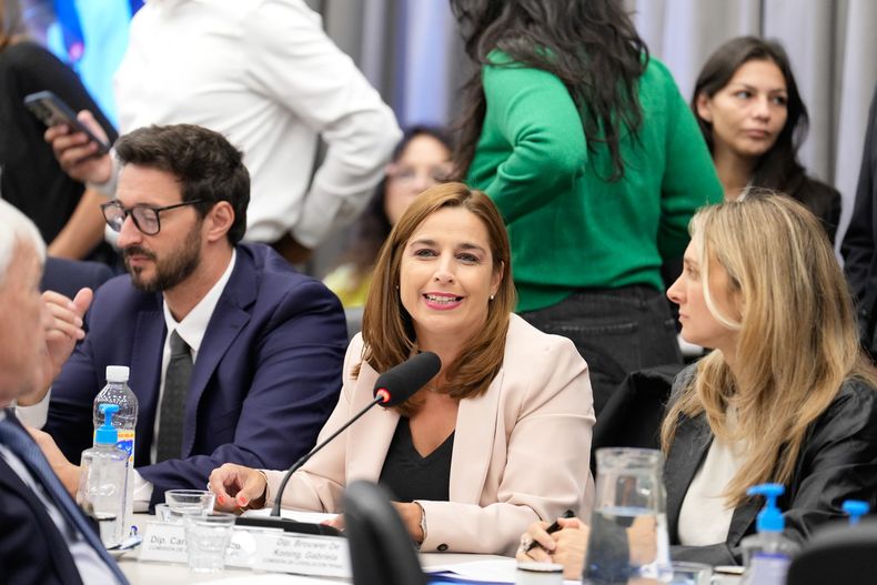 Soledad Carrizo y Gabriela Brower de Koning en la Cámara de Diputados  