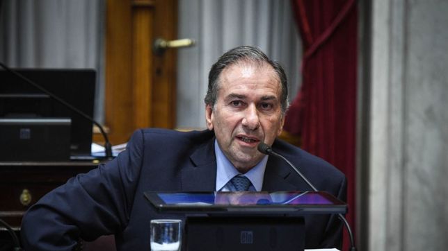 para el presidente del pro, el senado aprobara el proyecto de aborto