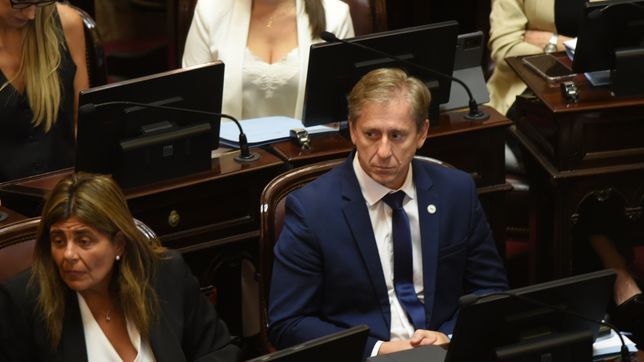la ucr arruino un plan de javier milei para eliminar barrios populares y vender tierras a extranjeros