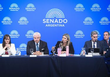 Comisión de Presupuesto y Hacienda, para tratar el Súper-RIGI.
