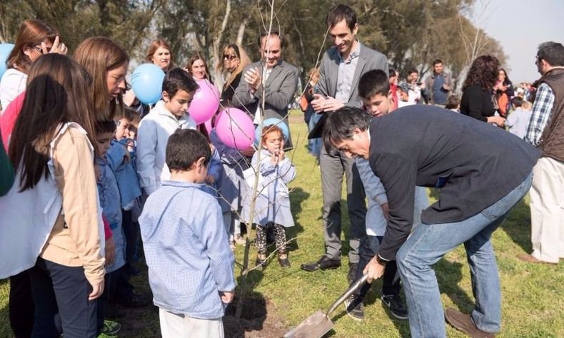 Bullrich Junin
