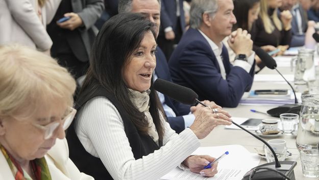 Silvana Giudici y Laura Rodríguez Machado (La Libertad Avanza).&nbsp;