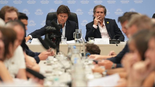 Lisandro Almirón y Bertie Benegas Lynch, diputados de La Libertad Avanza, el bloque de Javier Milei, durante el debate de la reforma laboral.&nbsp;