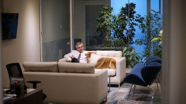 de muebleria a bunker: como se levanto el comando alberto presidente