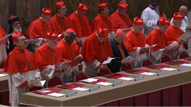 Los cardenales en la Capilla Sixtina para elegir al sucesor de Jorge Bergoglio