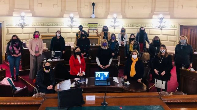 ley de paridad santafesina: 24 horas de rosca frenetica para un logro historico