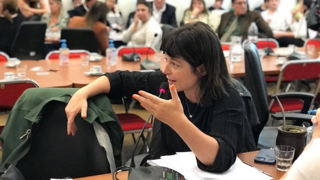 gaillard: ?lo de la corte es pornografico; no podemos hacernos los distraidos? gaillard: ?lo de la corte es pornografico; no podemos hacernos los distraidos?