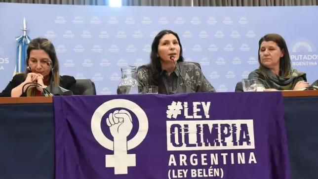 el senado aprobo la ley olimpia que incorpora la violencia digital contra la mujer