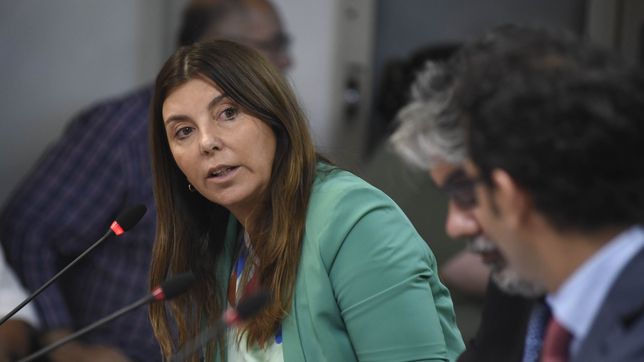 Ley ómnibus: Germana Figueroa Casas, diputada del PRO.&nbsp;