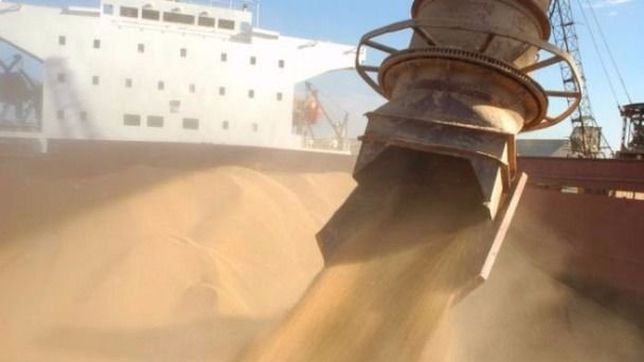 las exportaciones bonaerenses cayeron 6,5% en los primeros nueve meses