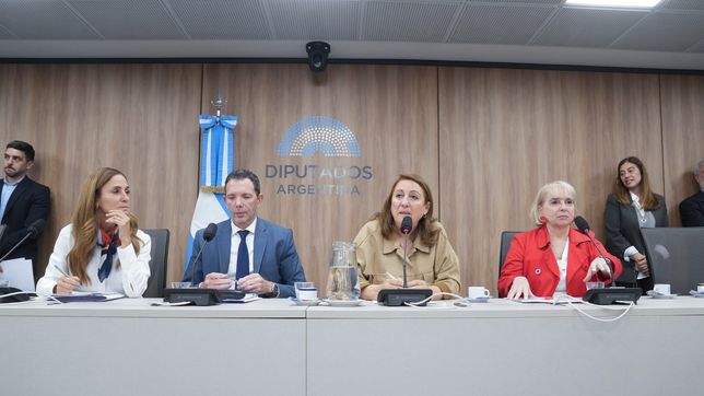Mónica Fein, Silvana Giudici y Victoria Tolosa Paz, durante la investigación de Fentanilo en Diputados.&nbsp;
