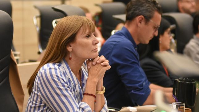 el concejo de rosario pide mas control sobre puentes y vias ferroviarias