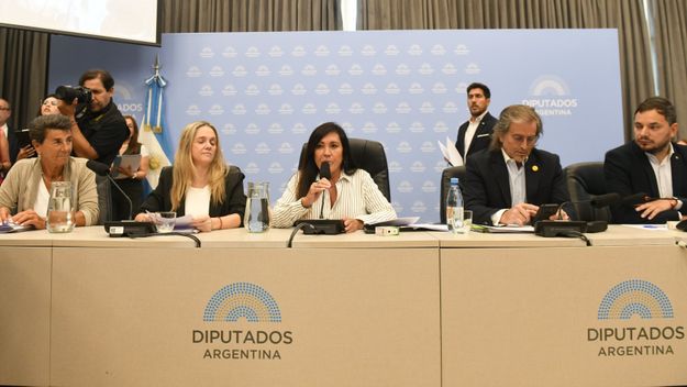 Laura Rodríguez Machado (LLA), a cargo del plenario que dictaminó el régimen penal juvenil del Gobierno.&nbsp; 