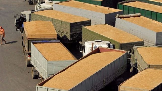 los cereales siguen marcando el pulso de las exportaciones bonaerenses