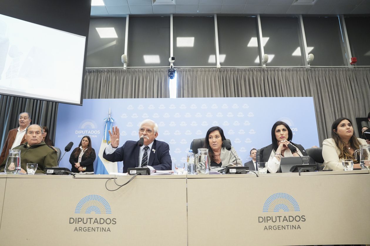 El bloque La Libertad Avanza, durante el plenario de Malvinas.&nbsp;