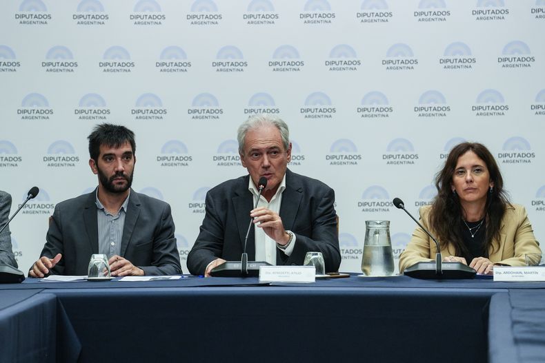 Atilio Benedetti, diputado radical, a cargo del debate sobre las retenciones.&nbsp;
