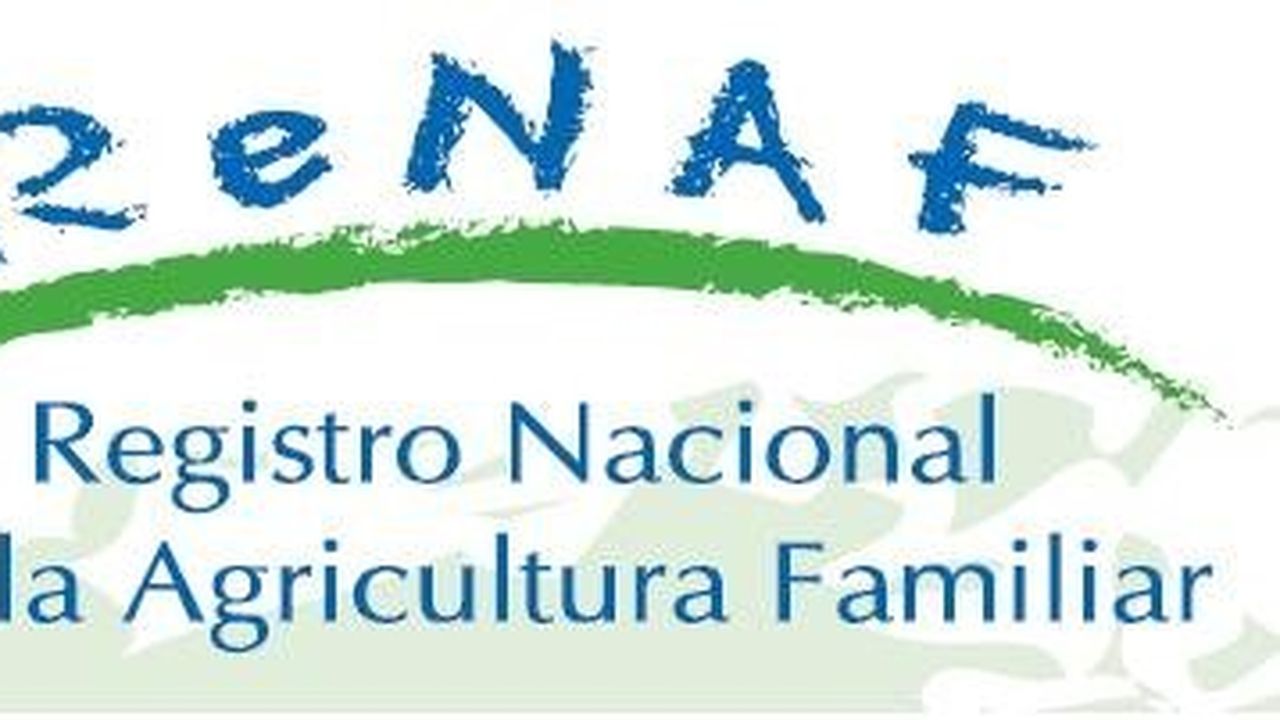 Zárate capacitó personal para la implementación del ReNAF