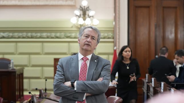 Diario de la Convención de Santa Fe, día 41: el Karinagate se metió en el debate por la reforma constitucional