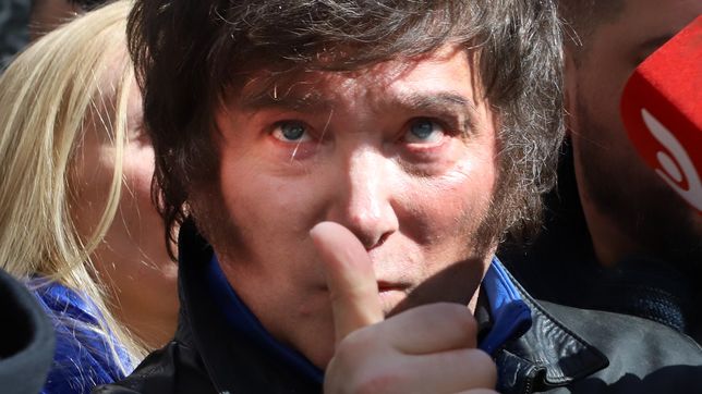 milei, el poder de la simpleza y el voto util en defensa propia