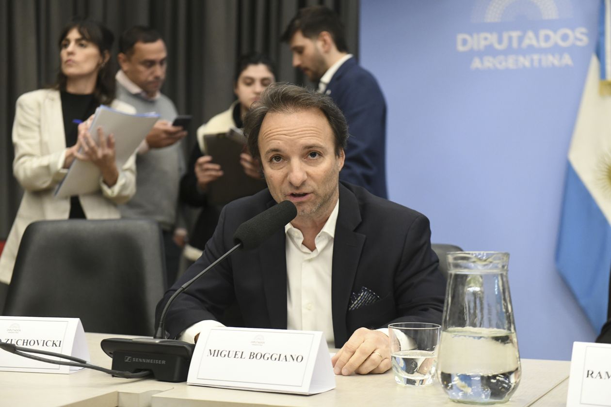 Miguel Boggiano, casi arruina el dictamen de la reforma del Banco Central.&nbsp;