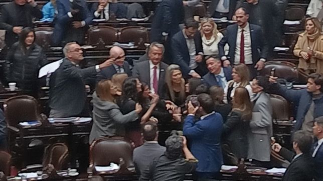 La pelea en el recinto de Diputadas de Unión por la Patria y La Libertad Avanza.&nbsp;