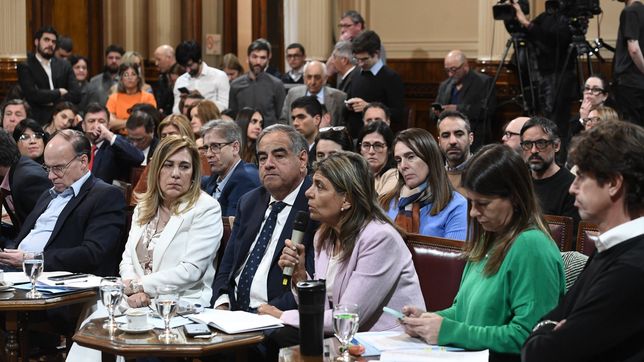 feroz interna en jxc por el apoyo de la ucr a la regulacion de alquileres temporarios 