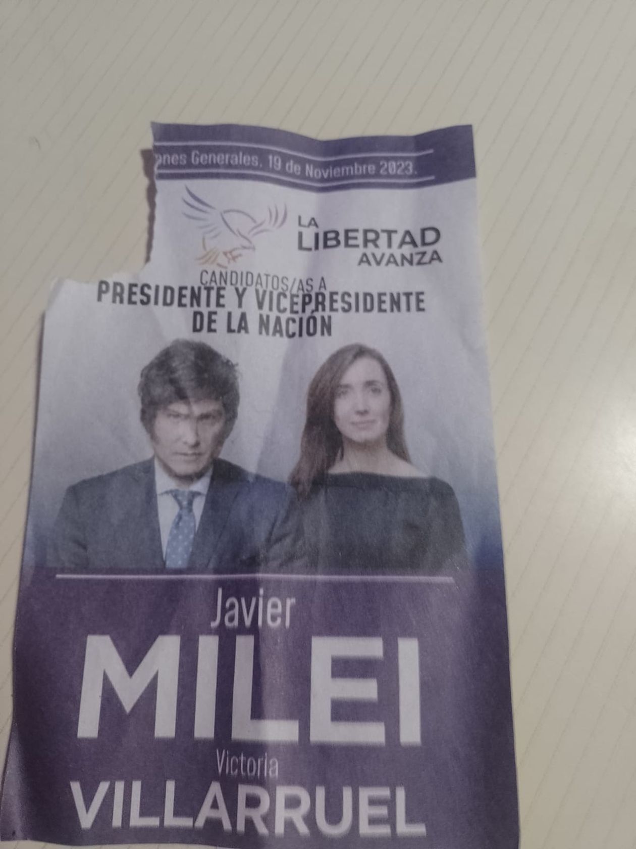 boleta Milei.jpeg