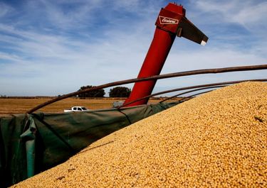 El granero de Alberto: crisis mediante, la agrodependencia es la mayor desde 1986