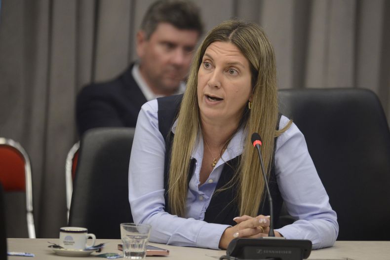 Silvia Lospennato, diputada del PRO y autora del proyecto original de Boleta Única.&nbsp;